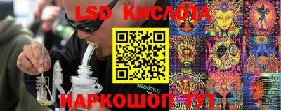 PSILOCYBIN Апшеронск
