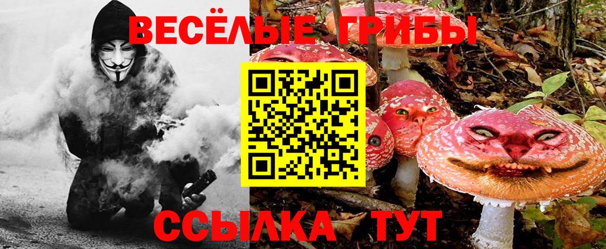 Бугуруслан  Галлюциногенные грибы прущие грибы  купить наркоту  Вход с VPN  Галлюциногенные грибы MAGIC MUSHROOMS 